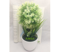 濟南盆景產品庫 奇石盆景的價格、圖片與廠家指南