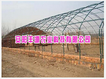 花卉大棚 廠家、種植價格與成本詳解