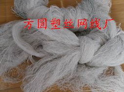 奇石——多元產(chǎn)品線下的專業(yè)防護網(wǎng)生產(chǎn)供應(yīng)商